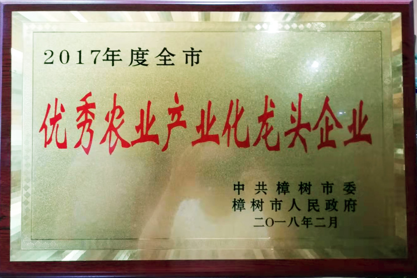 優(yōu)秀農(nóng)業(yè)產(chǎn)業(yè)化龍頭企業(yè)