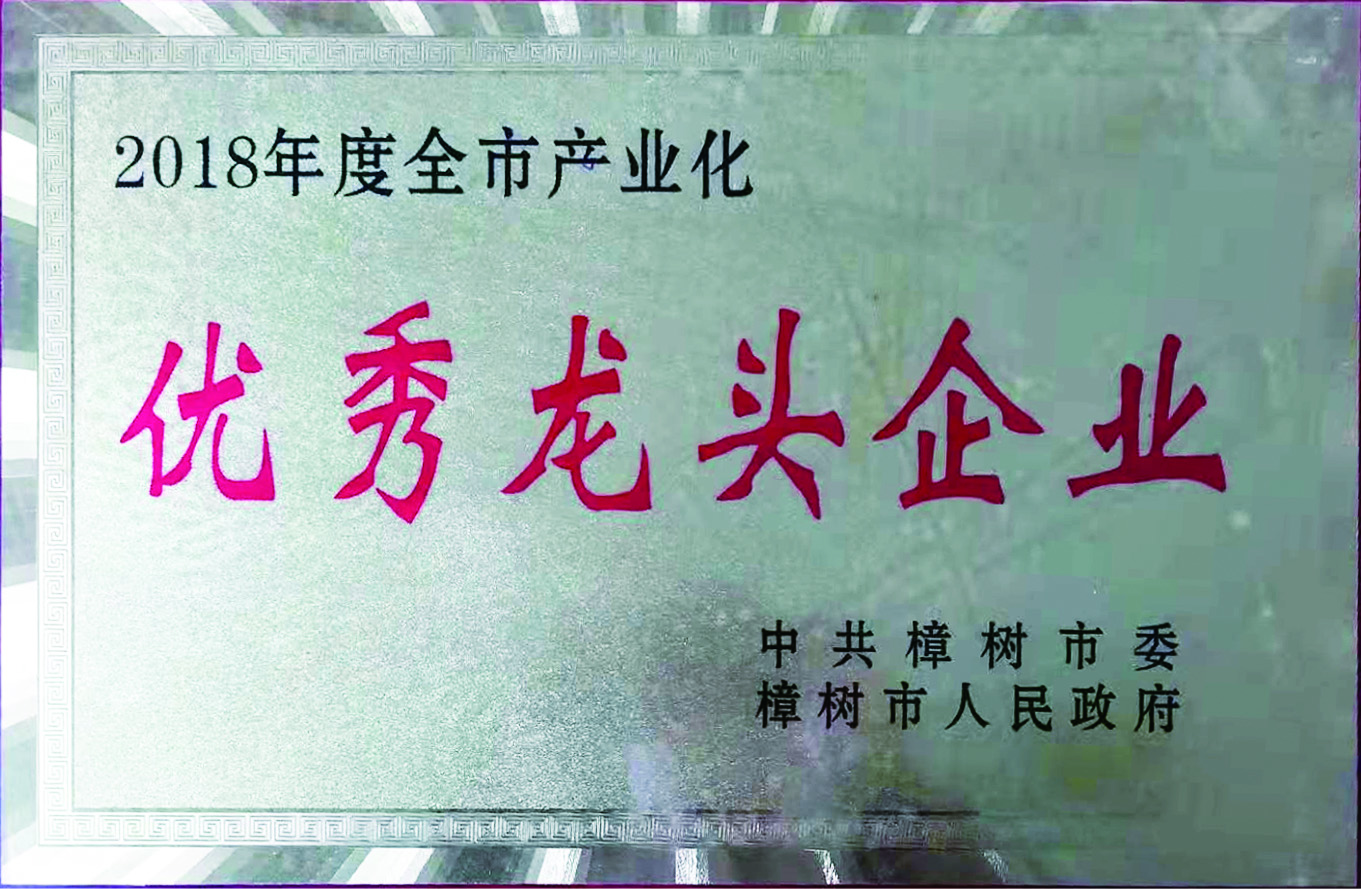 優(yōu)秀龍頭企業(yè)